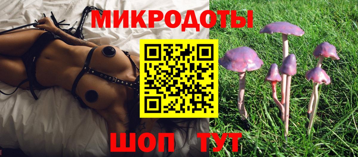 Галлюциногенные грибы GOLDEN TEACHER Кудрово