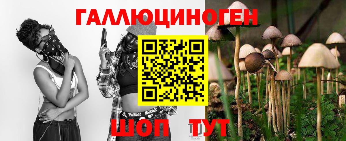 купить  цена  Вход с VPN  Галлюциногенные грибы Magic Shrooms  Кудрово  Псилоцибиновые грибы Psilocybe 